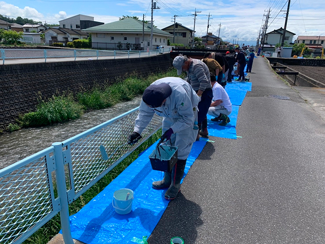 住民と合同による河川防護フェンスの塗装整備活動