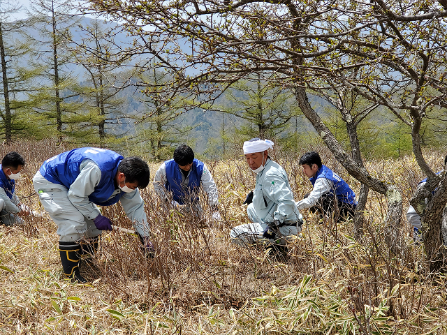 甘利山レンゲツツジ保護のための市民クリーン活動参加