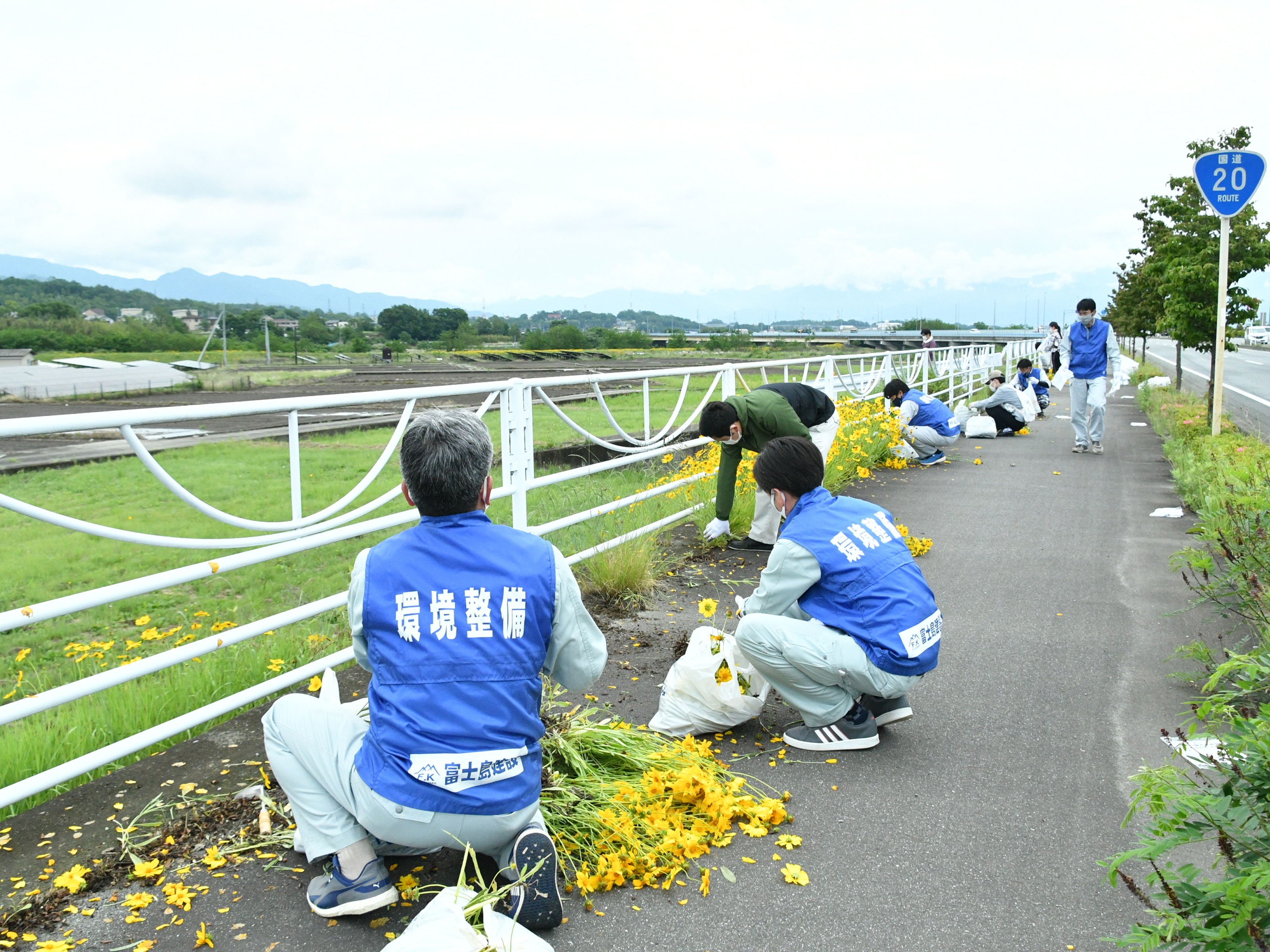 オオキンケイギク駆除活動への参加